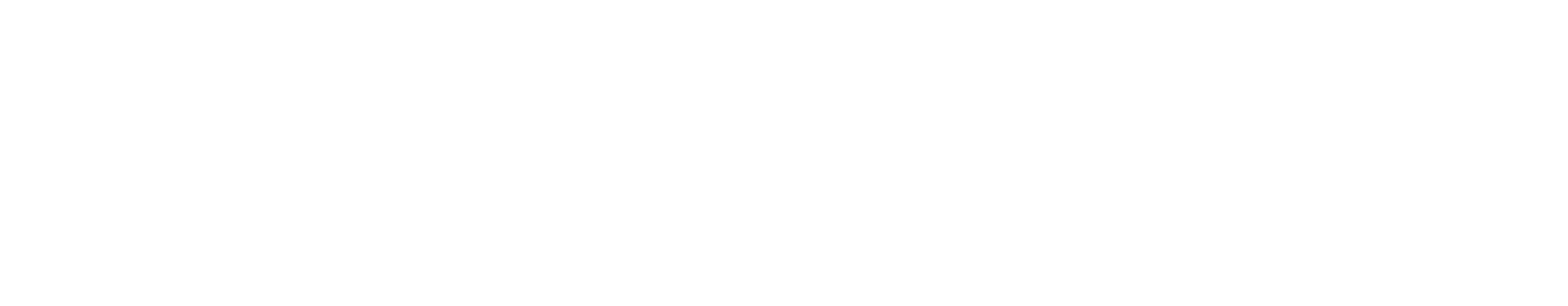 Şehir Plus