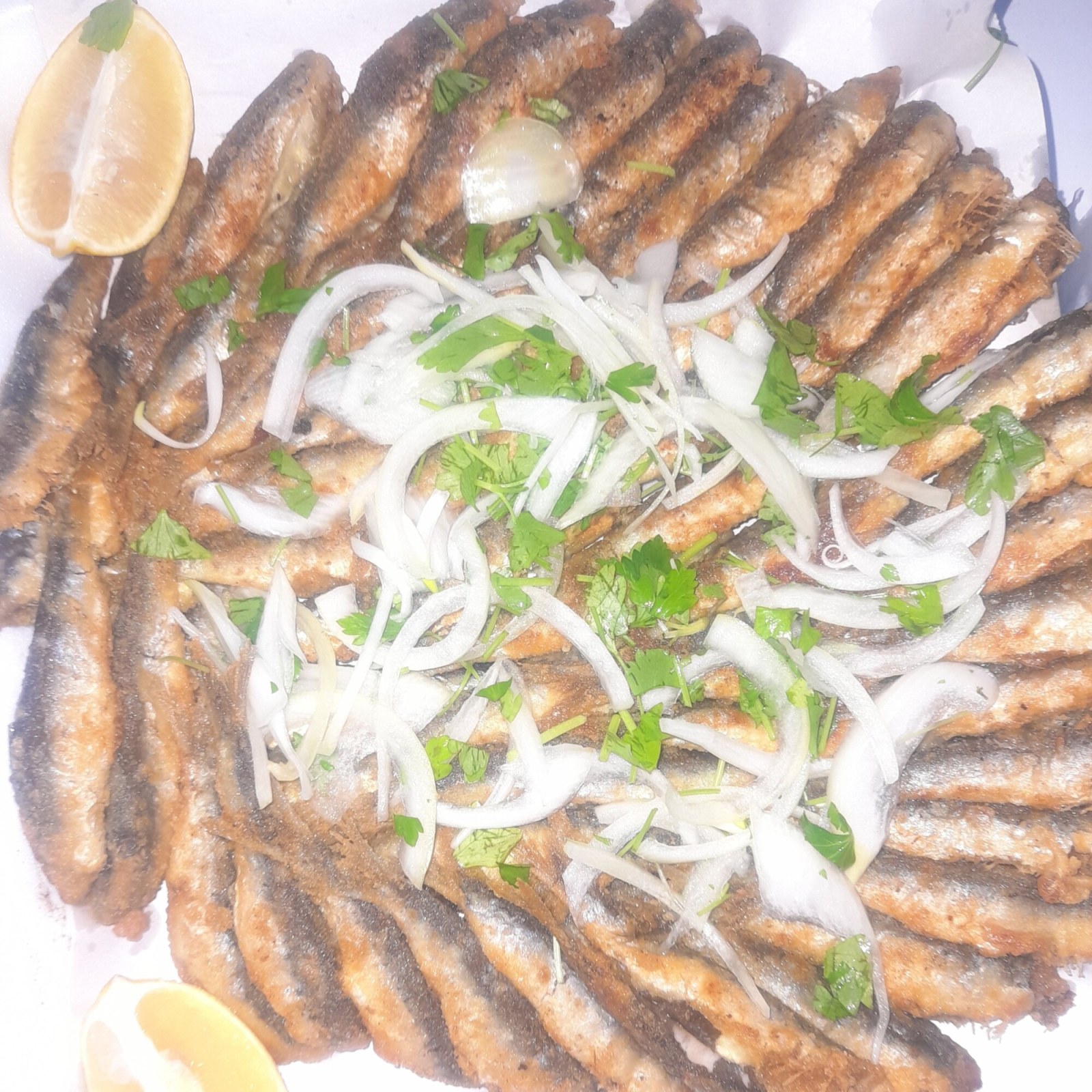 Sardalya 1 kg 2 Meze 1 Salata