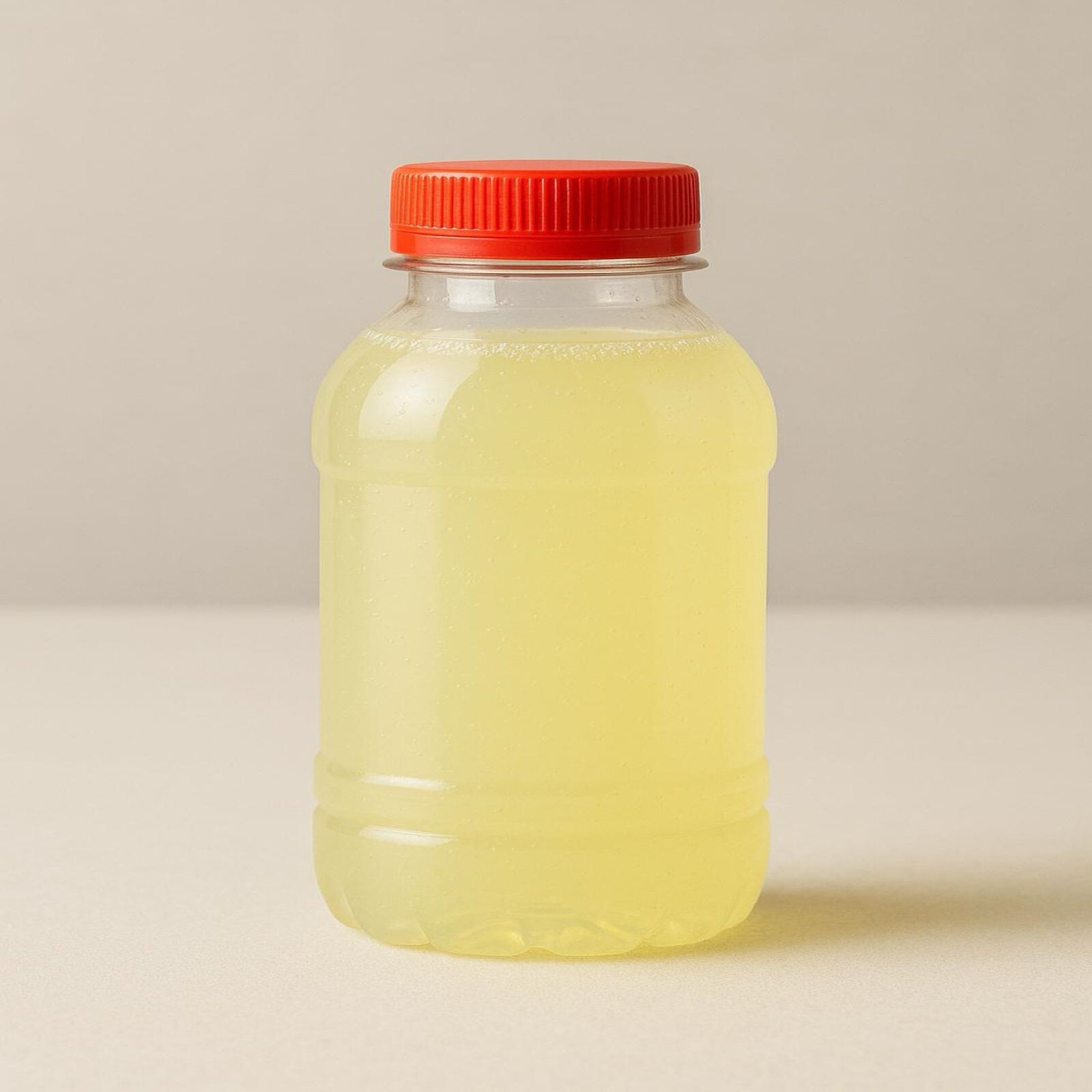 Ev Yapımı Limonata (300 ml.)