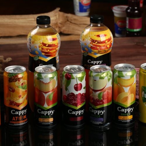 Cappy Kutu (330Ml)