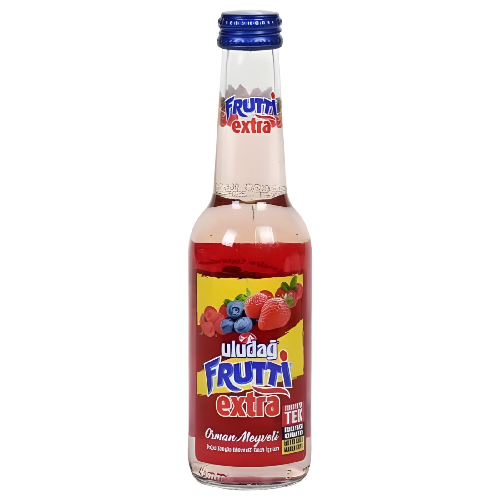 Frutti Orman Meyveli (250 Ml)