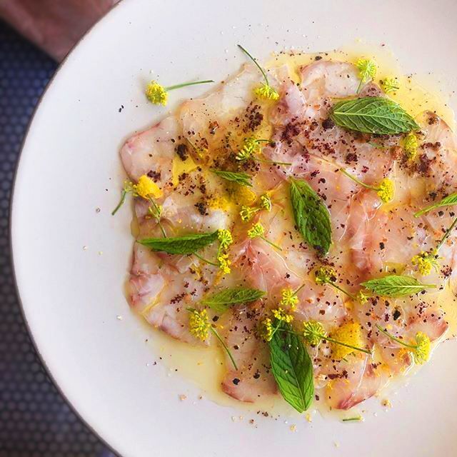 Levrek Carpaccio