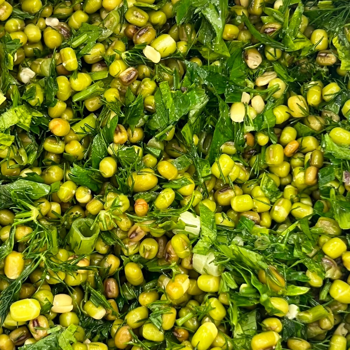 Maş Fasulyesi Salatası