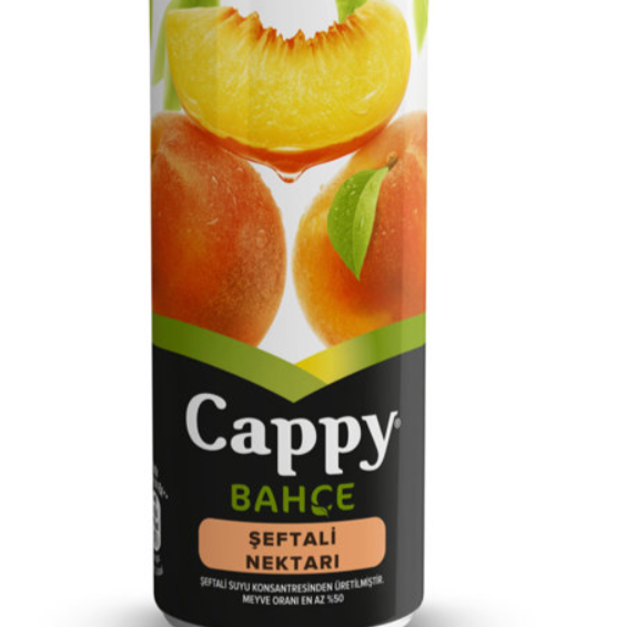 Teneke Kutu Cappy İçecek (330Ml)