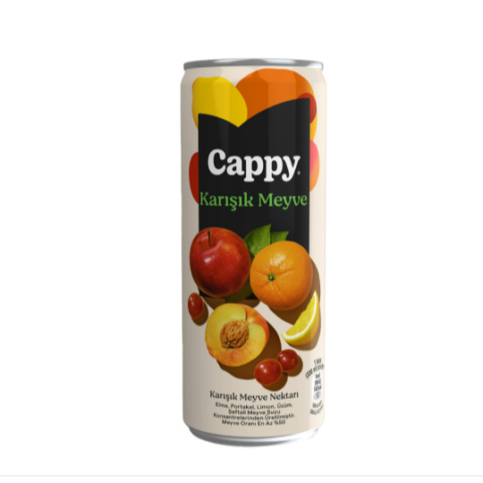 Cappy Karışık (33 Cl)