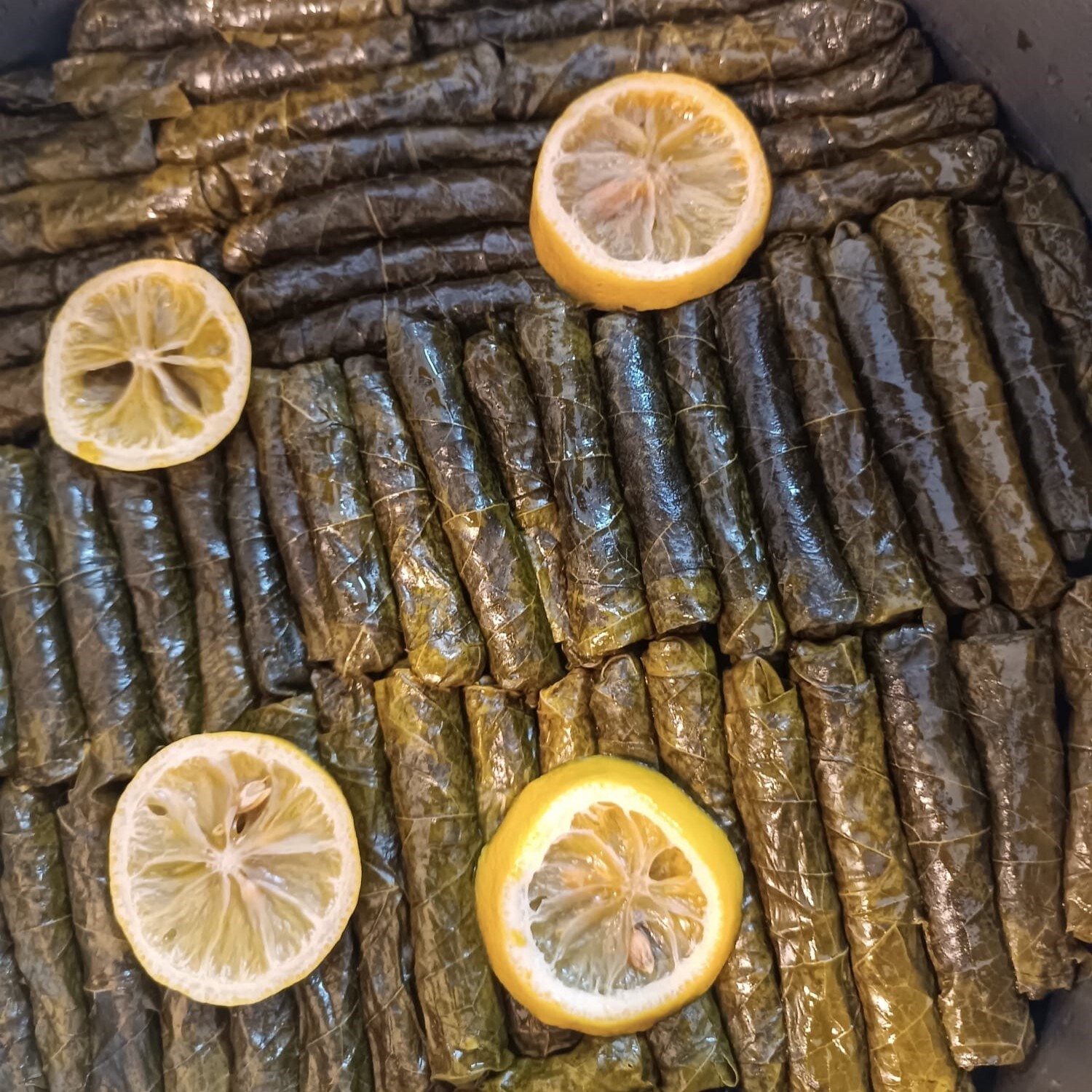 Yaprak Sarma Zeytinyağlı (Porsiyon)