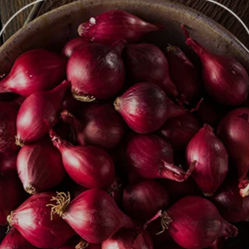 Kırmızı Soğan (1 Kg.)