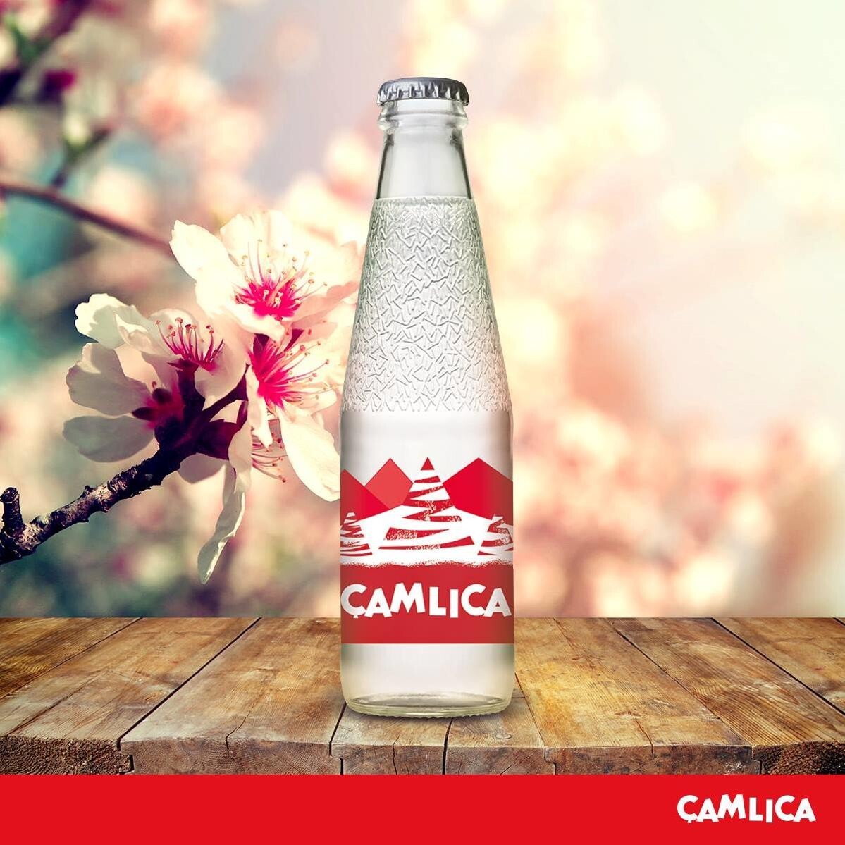 Çamlıca gazoz (200 ml.)