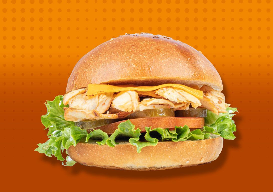 Hamburger Tavuk Döner
