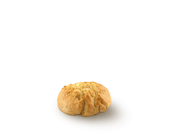 Biscuit