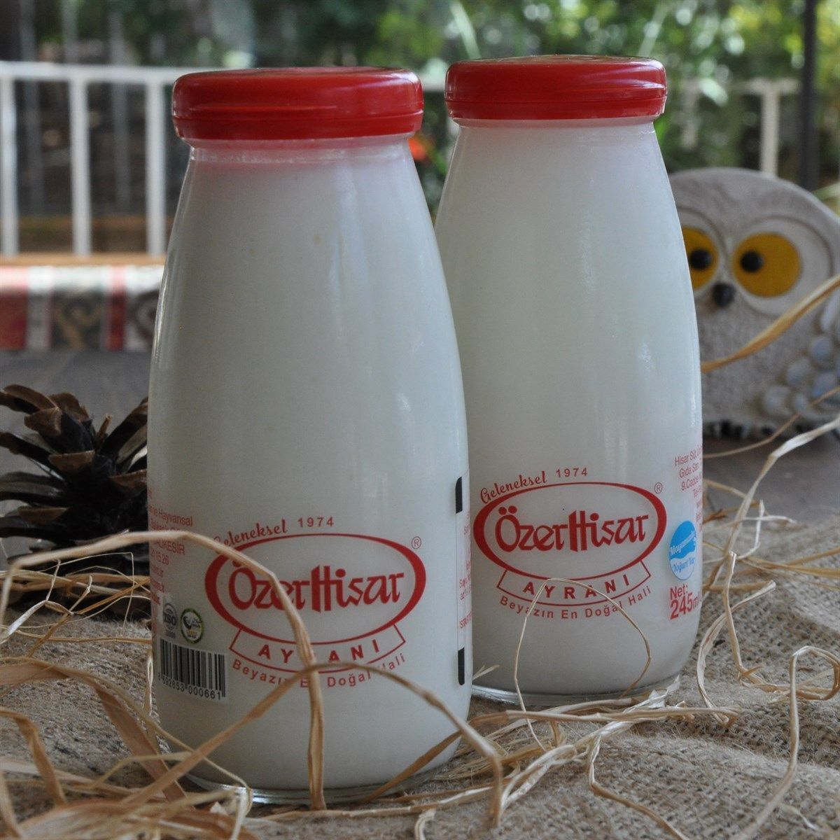 Özer Hisar Ayranı (245ml)