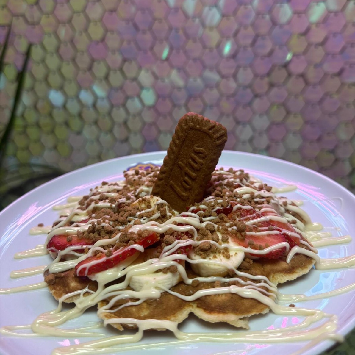 Lotus Waffle