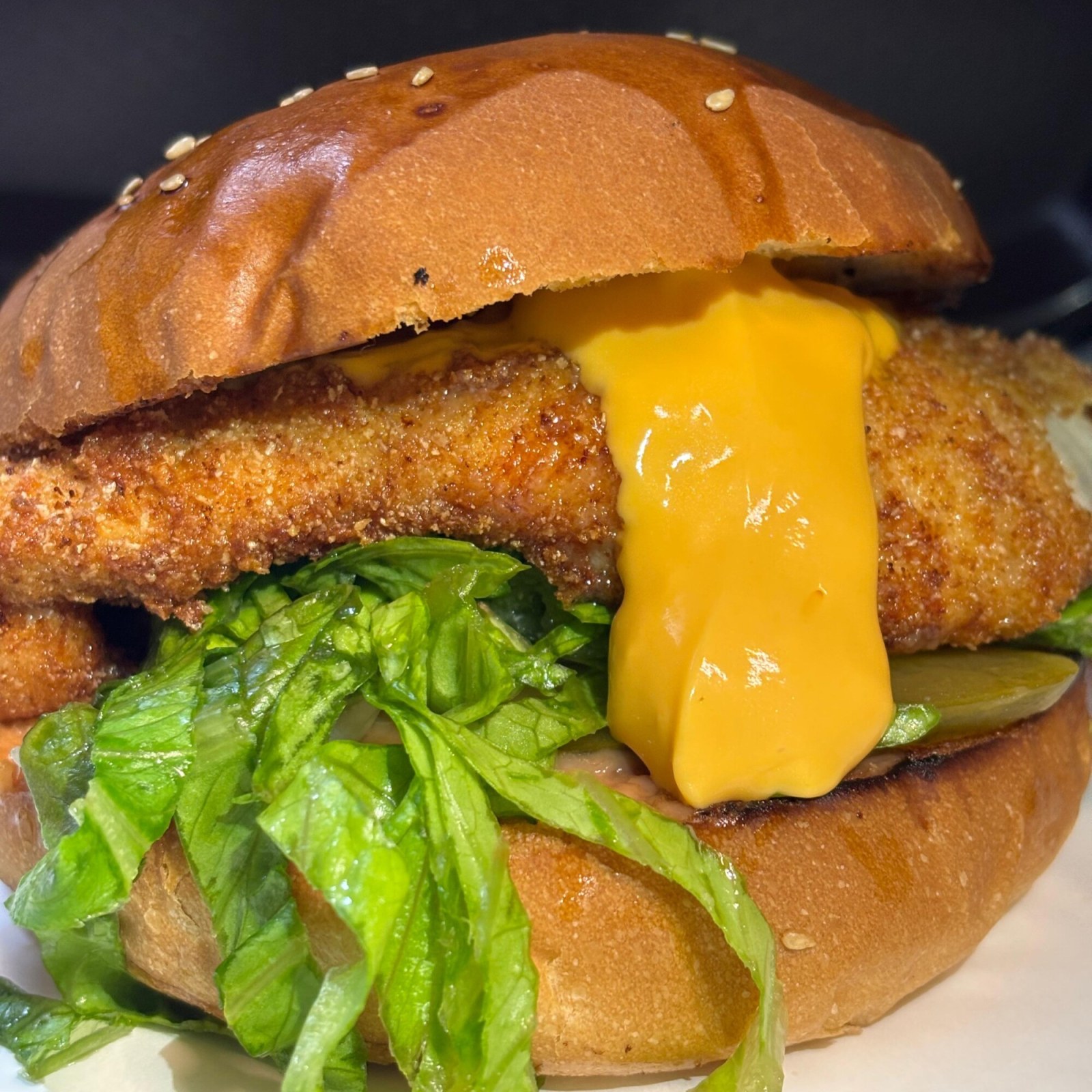 Eco Chicken Burger (100 gr)