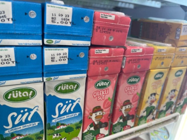 Meyveli Süt