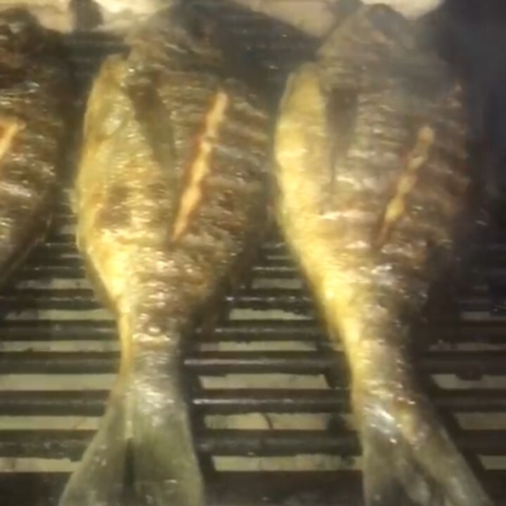 Deniz Çipurası 1 kg