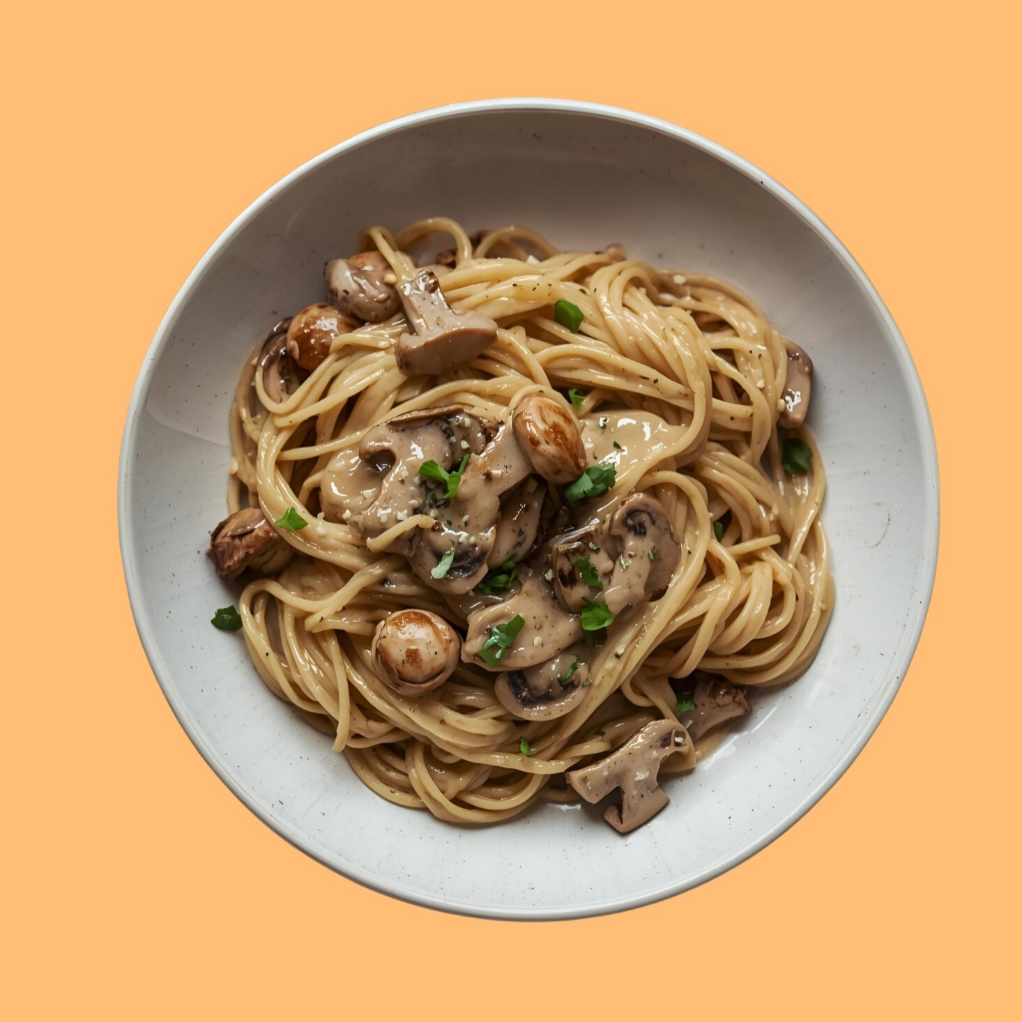 DEV BOY Kremalı Mantar Tavuk Noodle