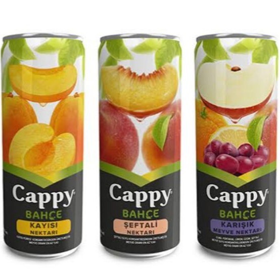 Cappy Kutu Meyve Suyu