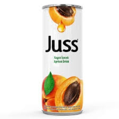 Juss Kayısılı İçecek (250ml)
