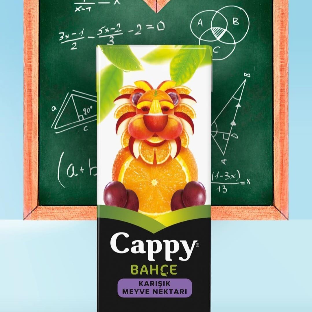 Cappy Karışık (200 ml)