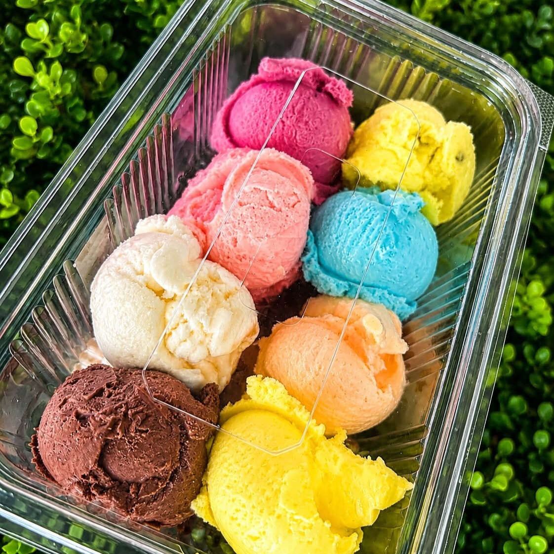Karışık Dondurma 250 Gr