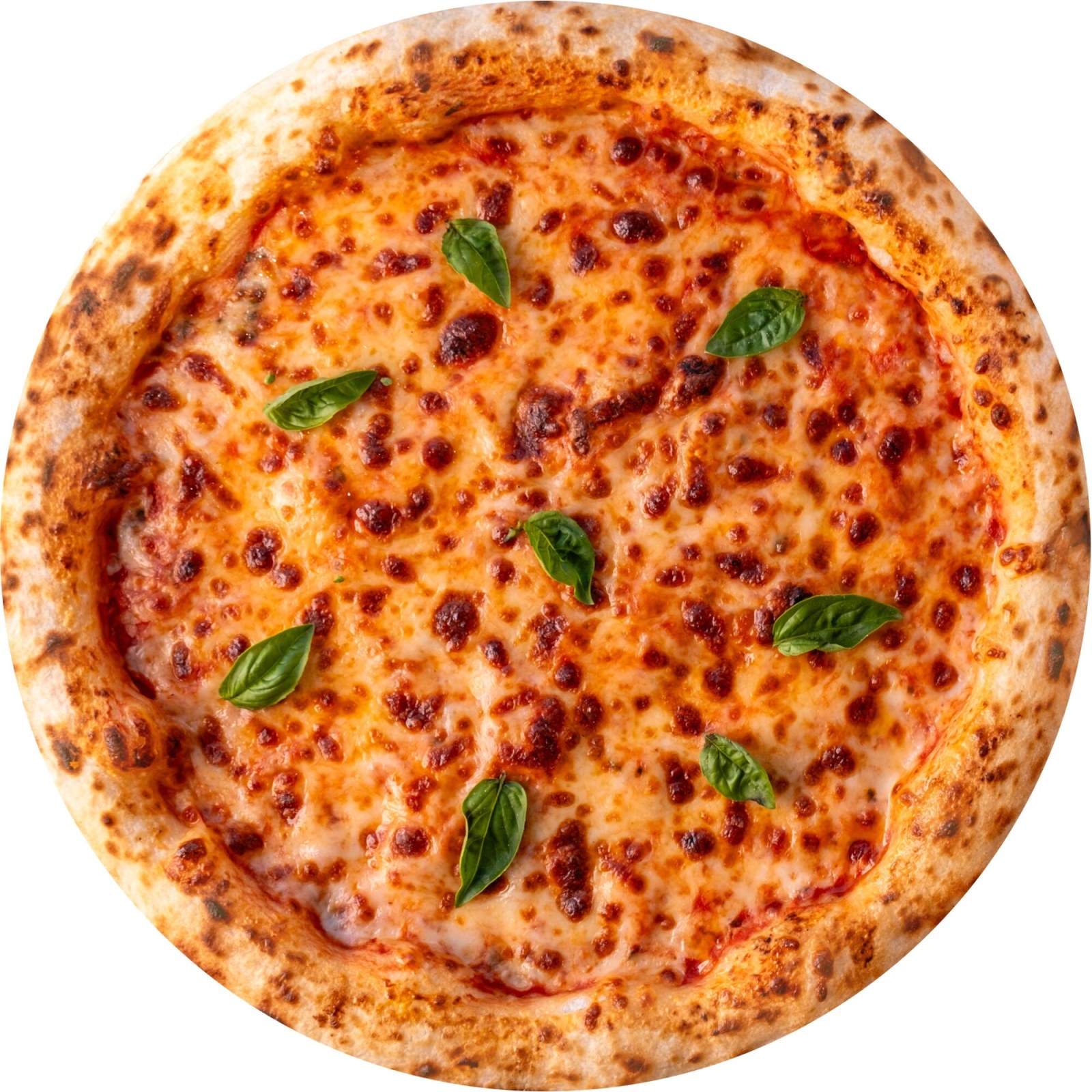 Margherita Pizza