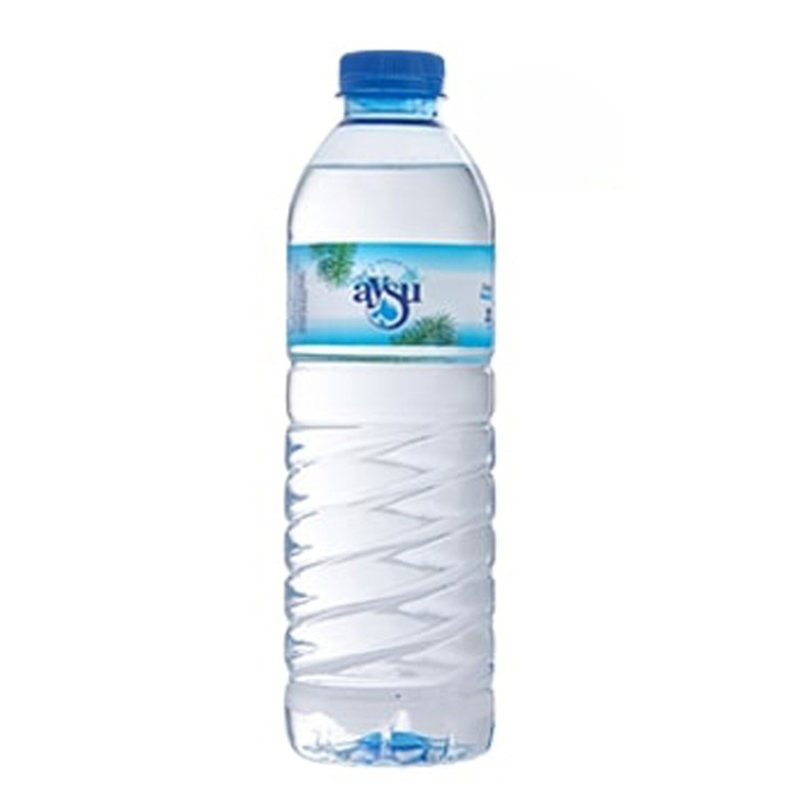 Şişe Su