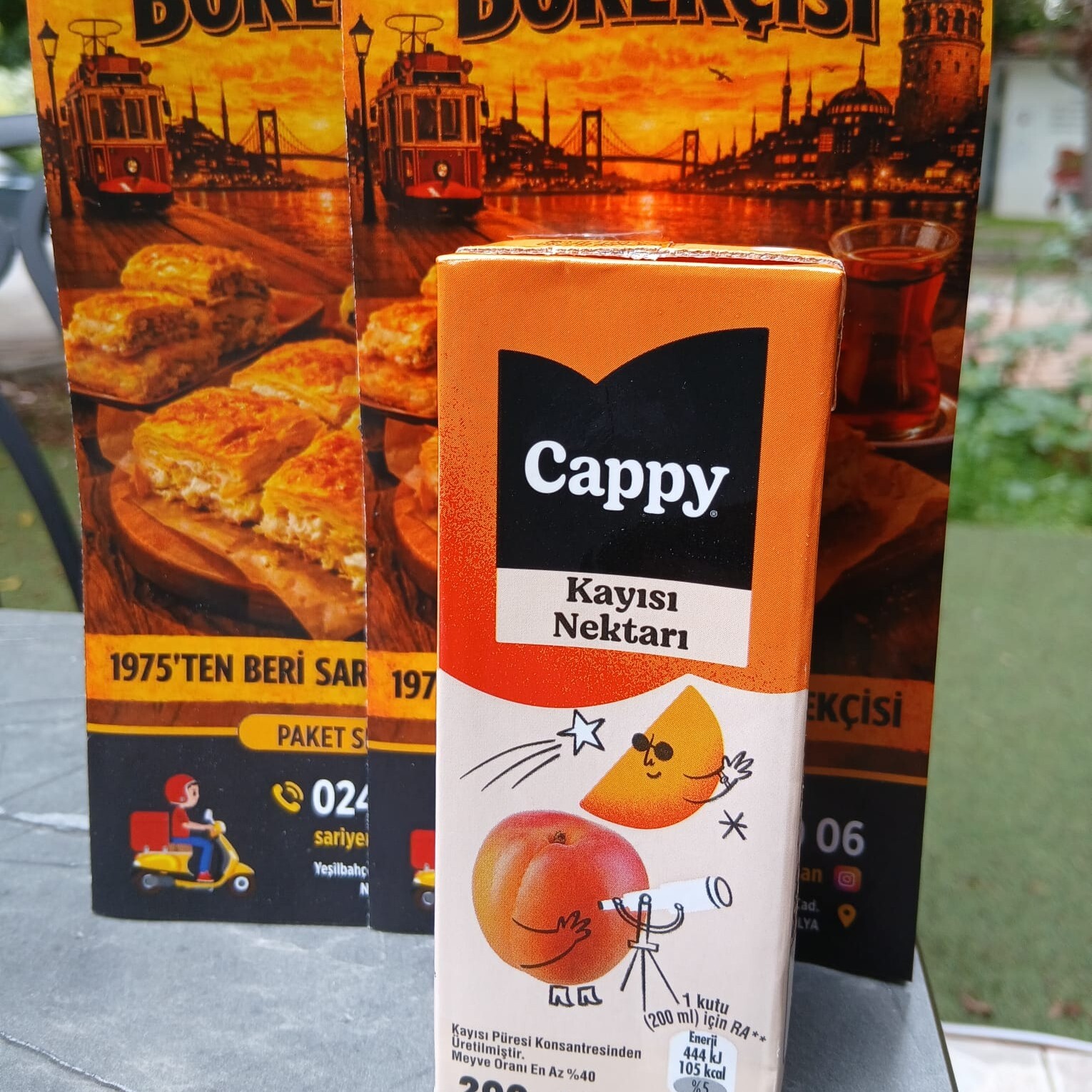 KAYISI MEYVE SUYU 200 ML