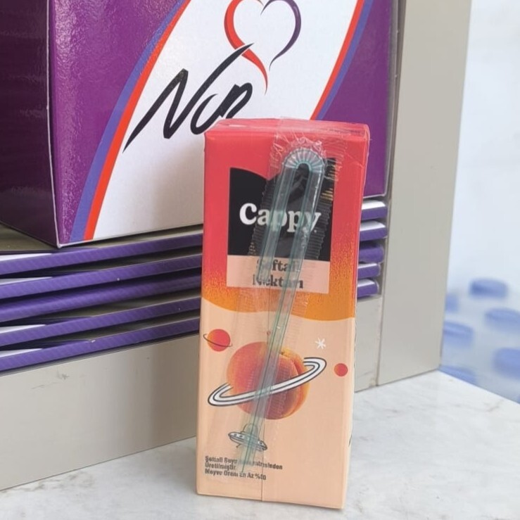 Şeftali Meyve Suyu(200 ML)
