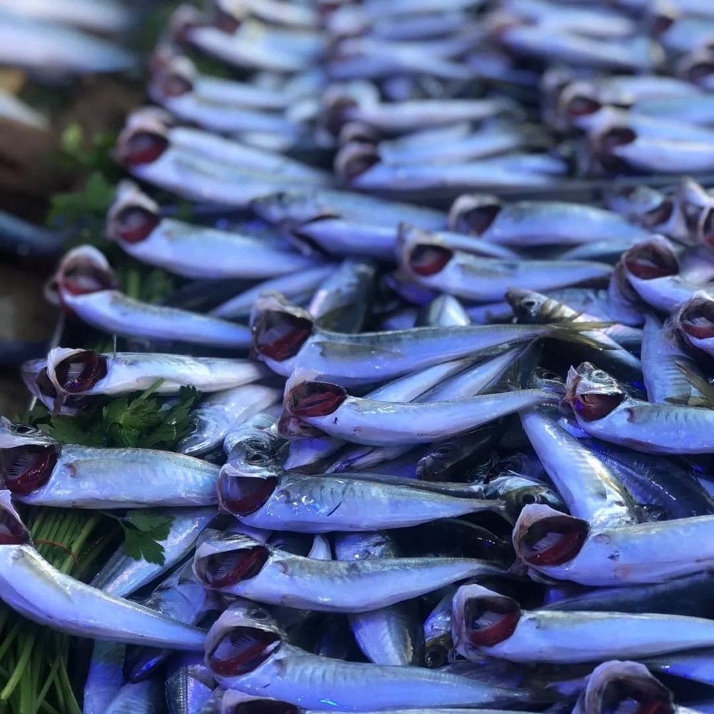Günlük taze Karadeniz İsravit 1 kilo