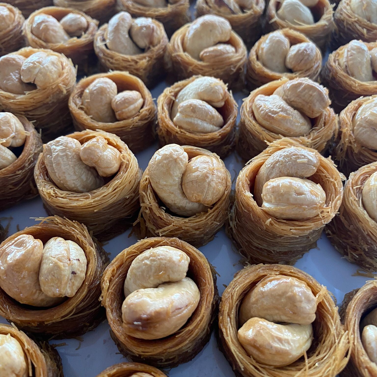 Kajulu Bülbül Yuvası (500 gr)