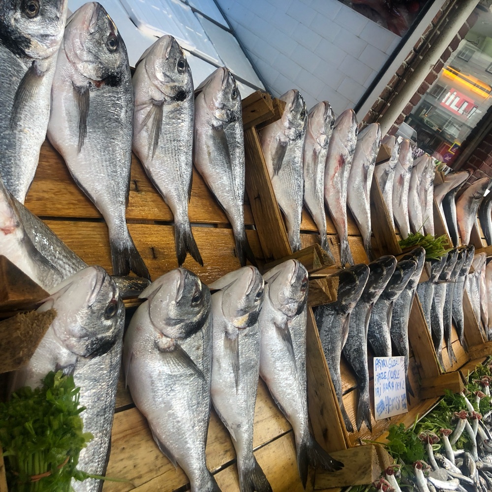 Günlük taze Deniz Çupra 1 kg