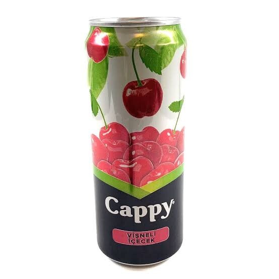 Meyve Suyu şeftali/karışık (33 cl)