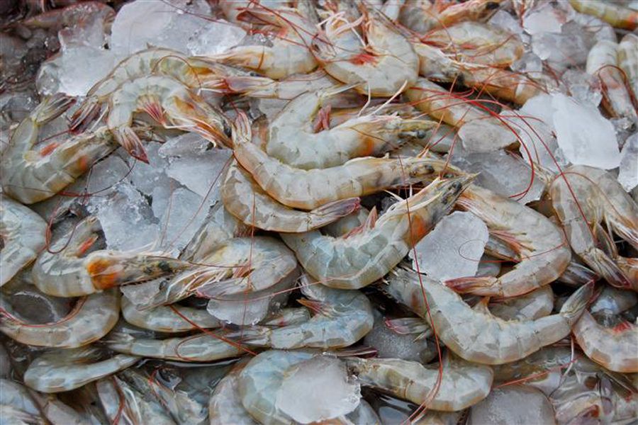 1 Kilo Karides