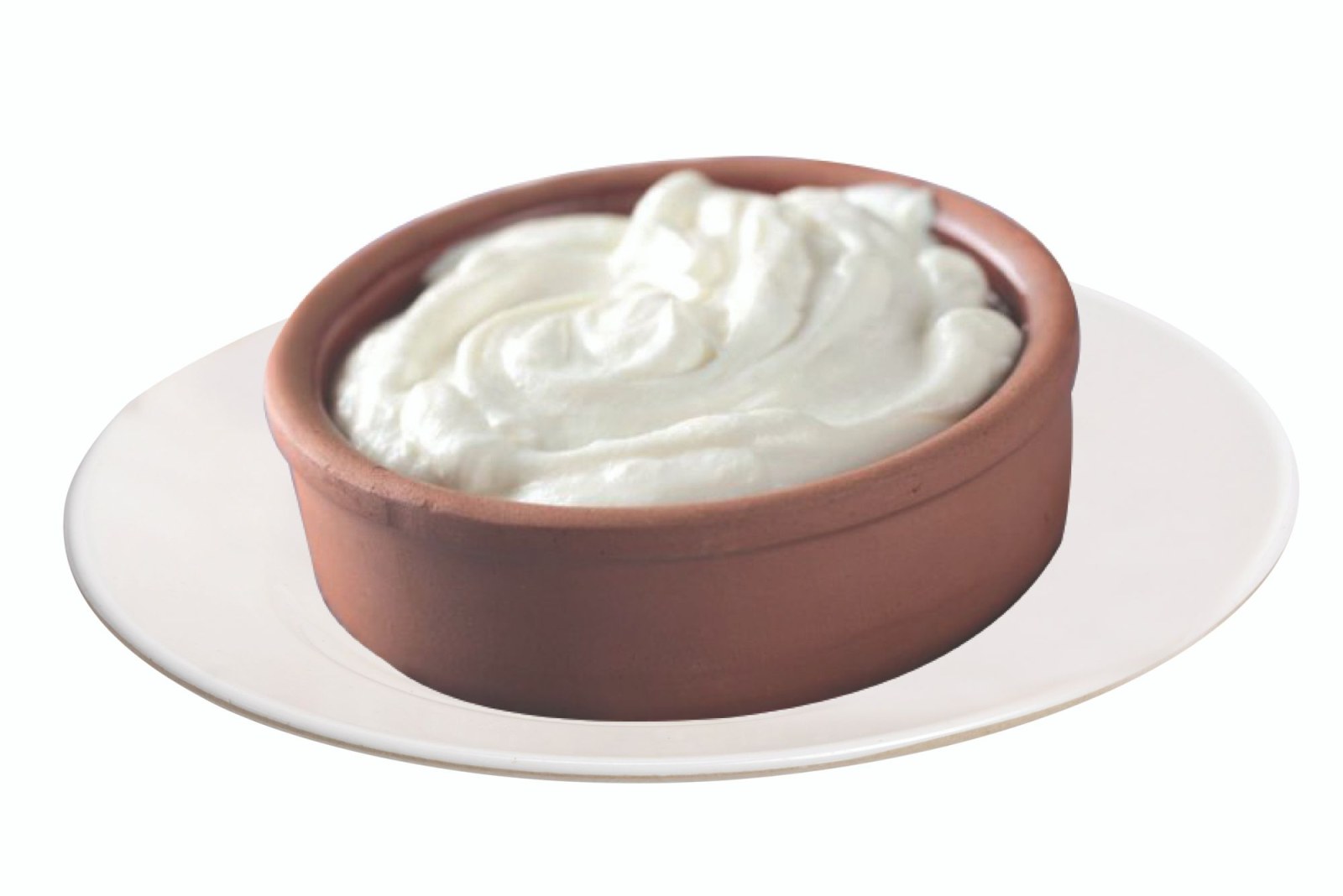 Yoğurt