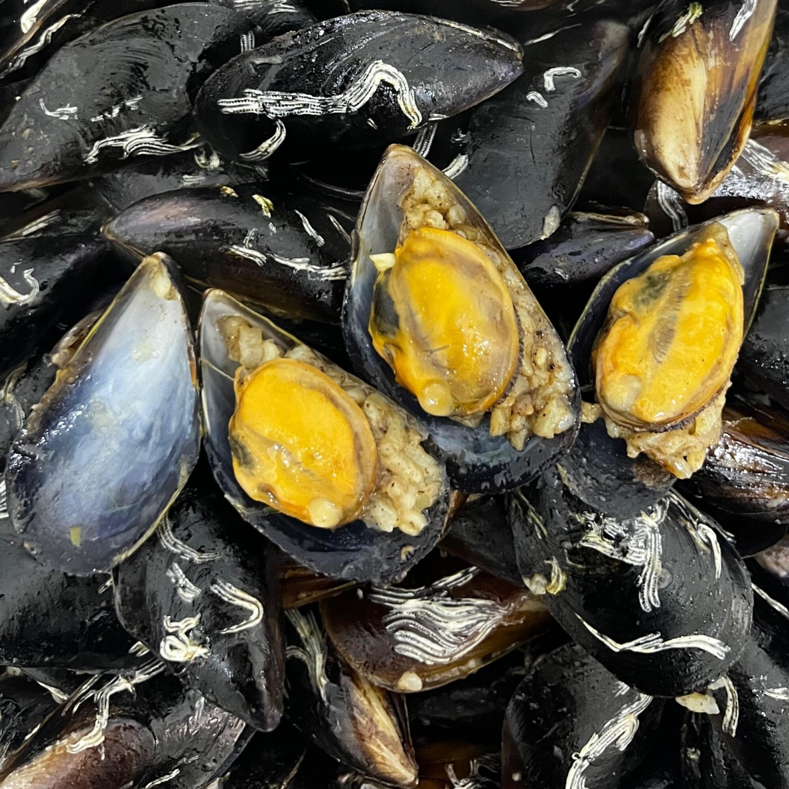 50 Adet Çiftlik midye dolma