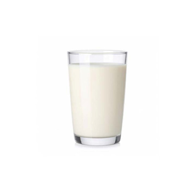 Süt
