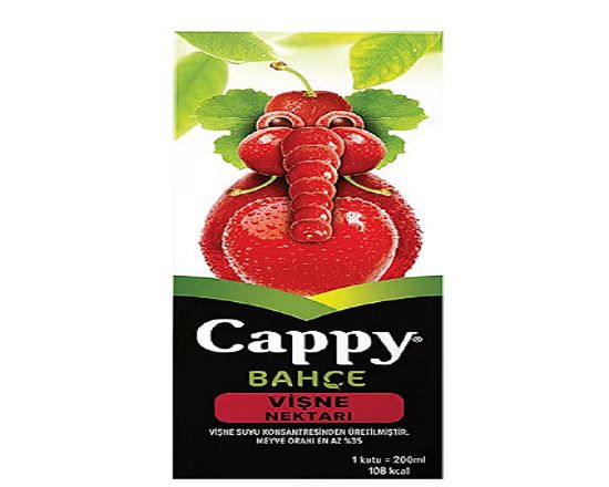 Cappy Vişne(200 ml)