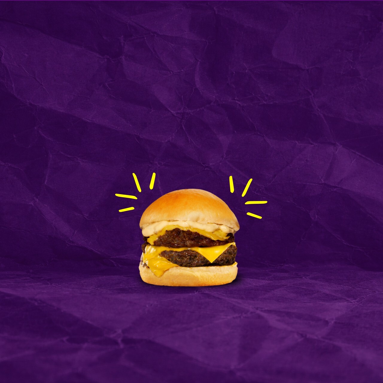 Not Big Mac Burger