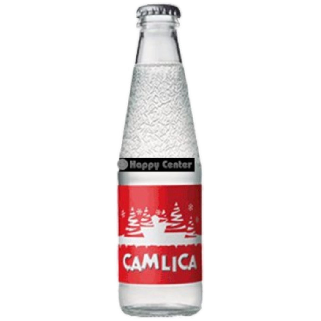 Çamlıca Gazoz (25 cl.)