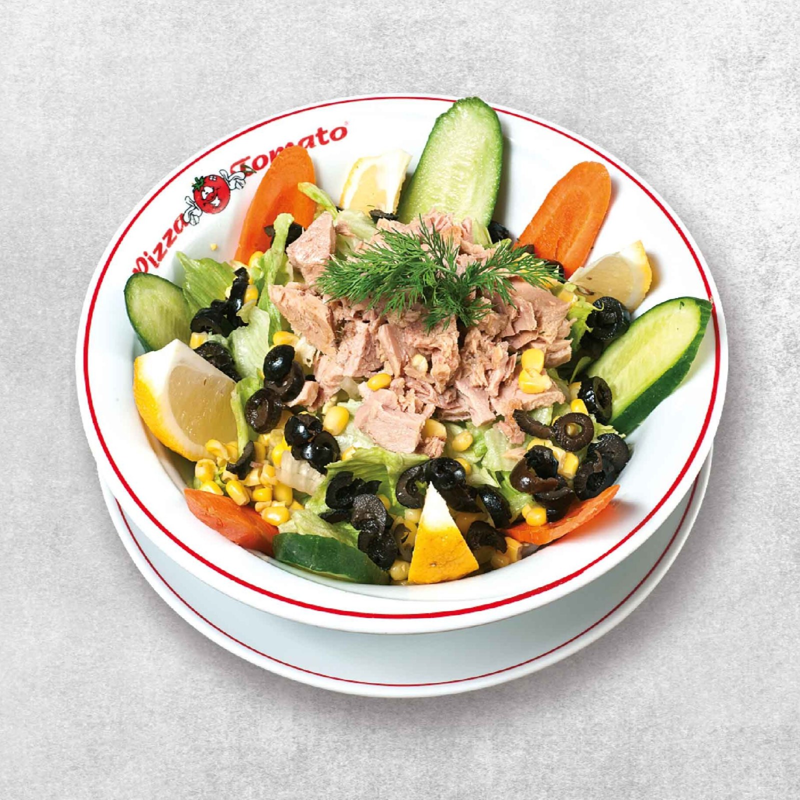Ton Balıklı Salata