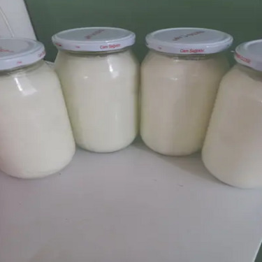 Ev Yapımı Yoğurt (1 kg)