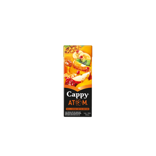 Cappy Karışık (20 cl.)