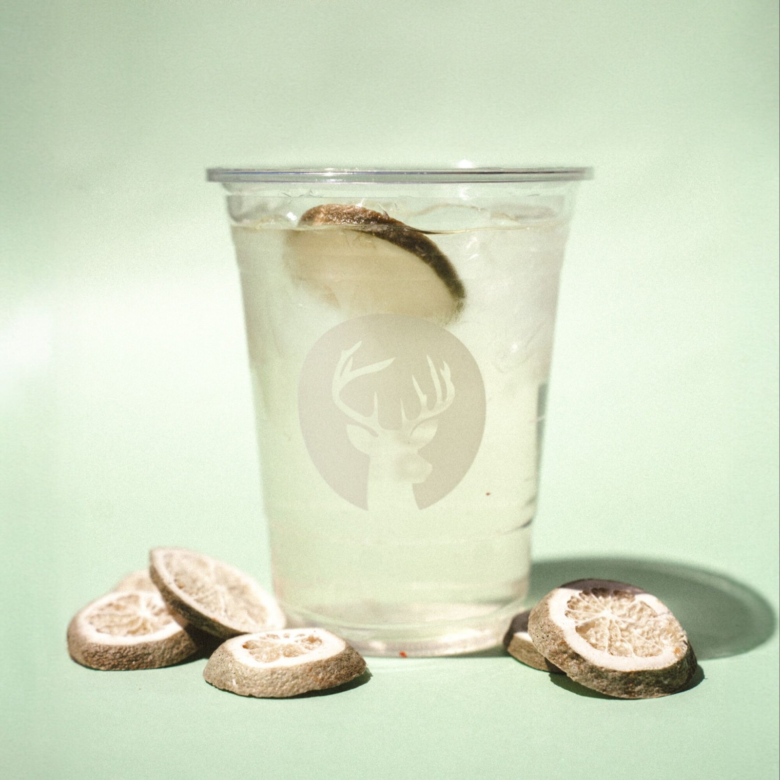 Cool Lime 16 Oz