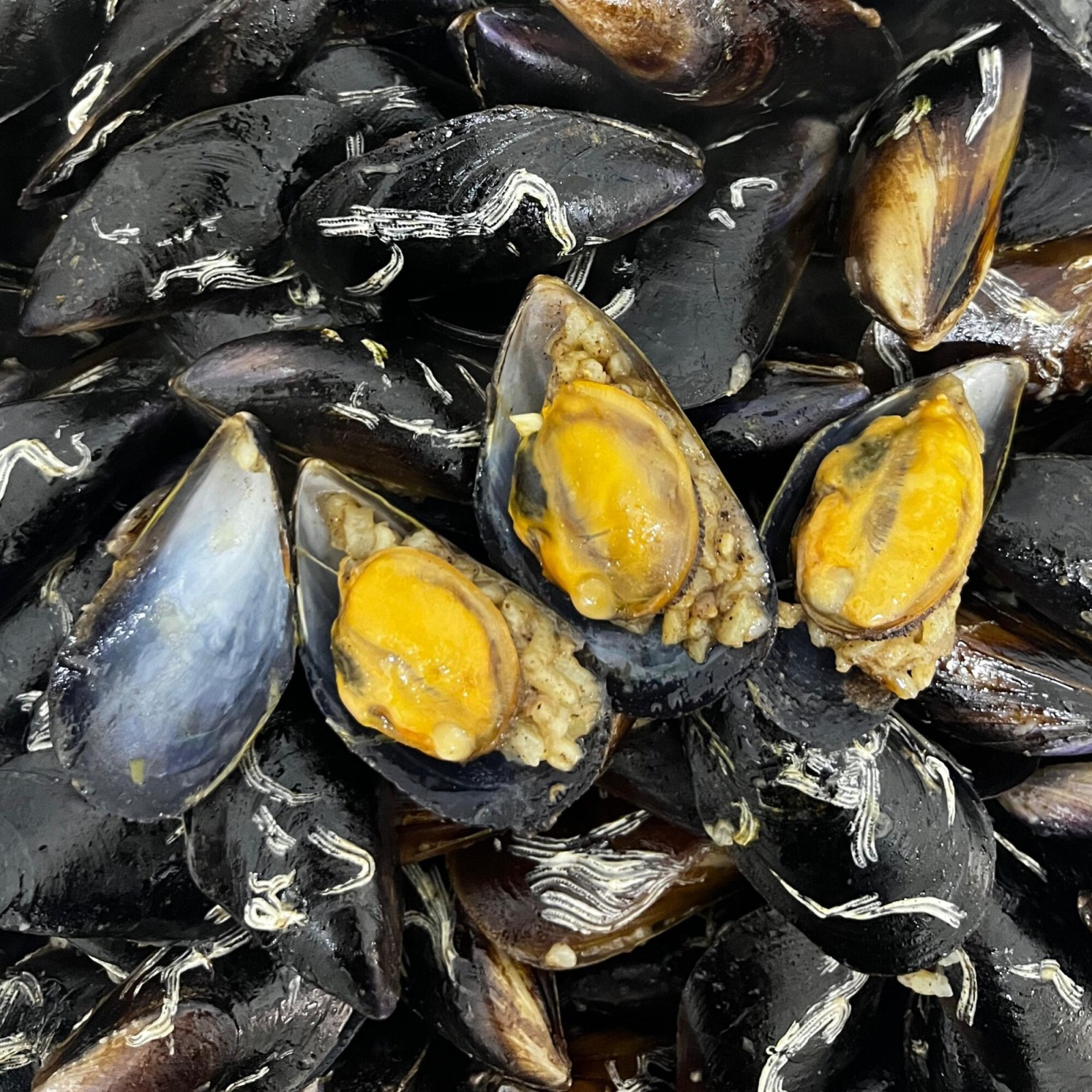 20 Adet Çiftlik Midye Dolma