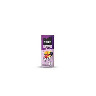 Cappy Karışık (200 ml)