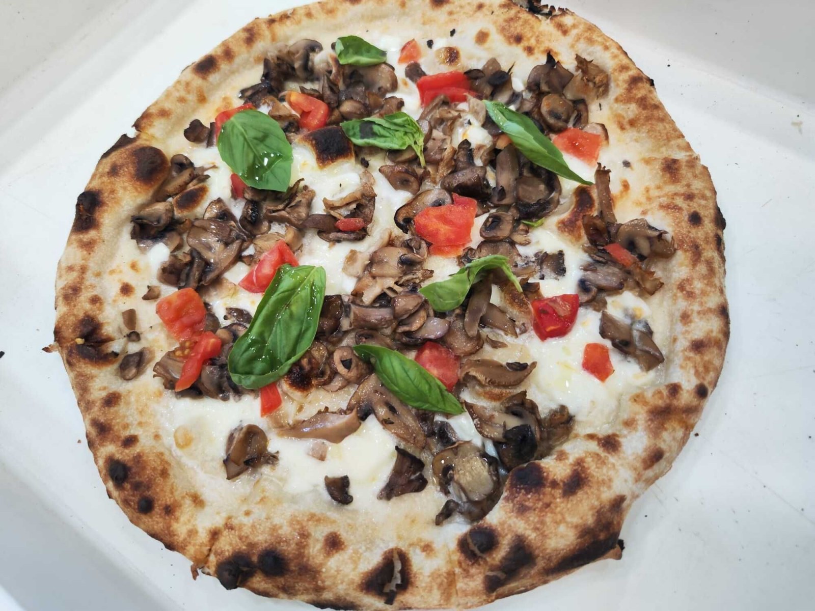 Pizza Mısta Funghi