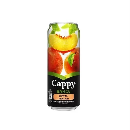 Cappy Şeftali (330 ml)