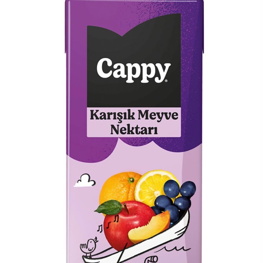 Cappy Karışık Meyve Suyu (200 ml)