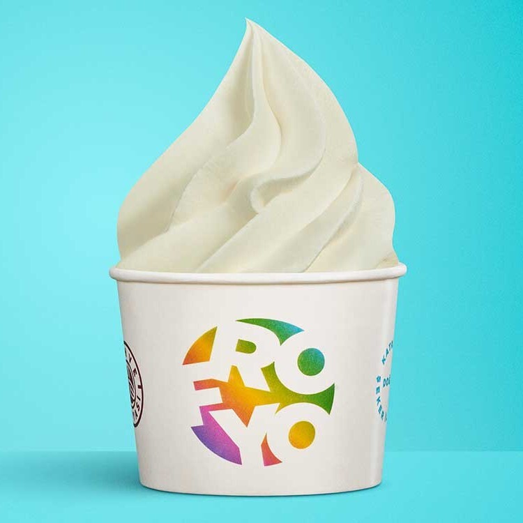 Froyo Dondurma (400 gr.)