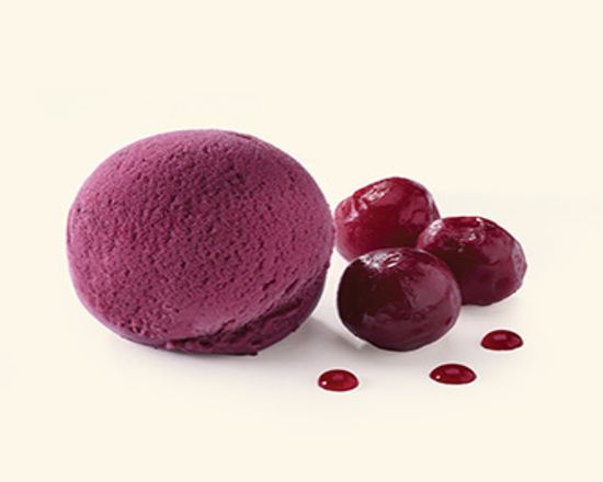 Vişneli İtalyan Dondurması(500gr.)